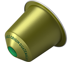 Single-Origin Guatemala